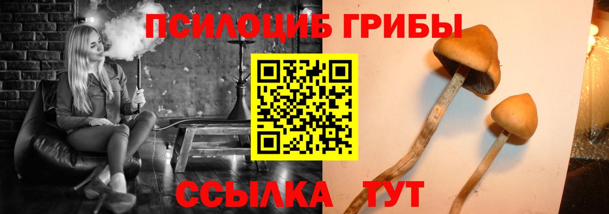 Сафоново  Псилоцибиновые грибы прущие грибы  Псилоцибиновые грибы Psilocybine cubensis  где купить наркоту  Вход с VPN 